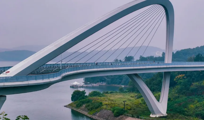 84c47ed50b8c4254d62feb1952334b6c-sz_504172