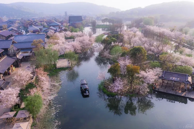 84c83c724adf518e0d8d7fe238c1f092-sz_3940838