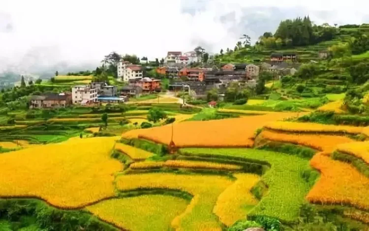 84d83928c93b2e7334739e447af42449-sz_91659 84d83928c93b2e7334739e447af42449-sz_91659