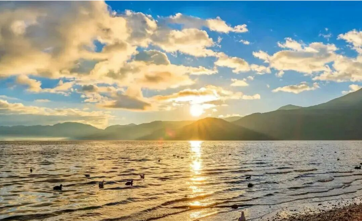 84e282f361849ee949ff63b5fa011038