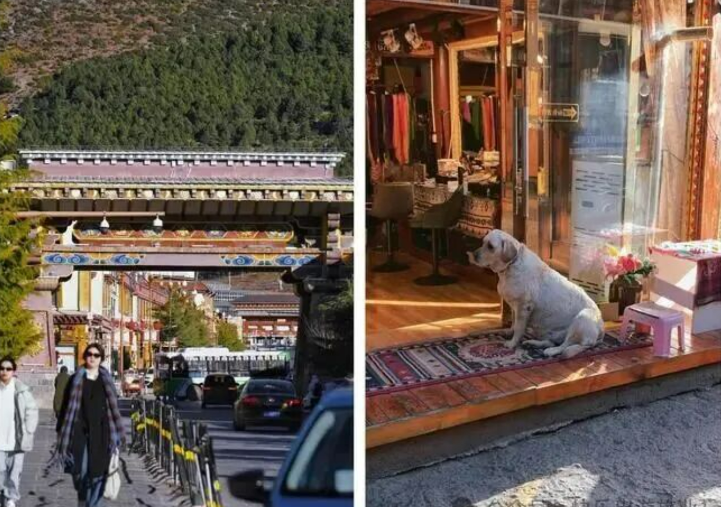 850ba6baa7fce9d1dbc5722db8f590fe