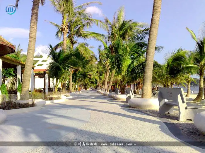 85269479f409a4f362f0db1f6b1455f8-sz_84950