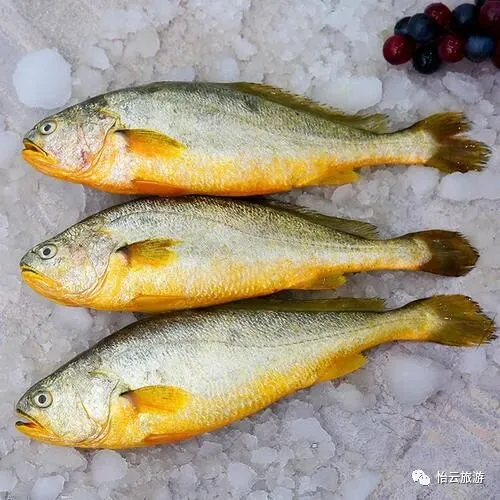 855086217c2488975ed3cd771a11dfa2-sz_60828