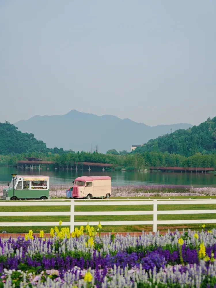 856497396704e5e3233afda5bbad40e0-sz_2163890