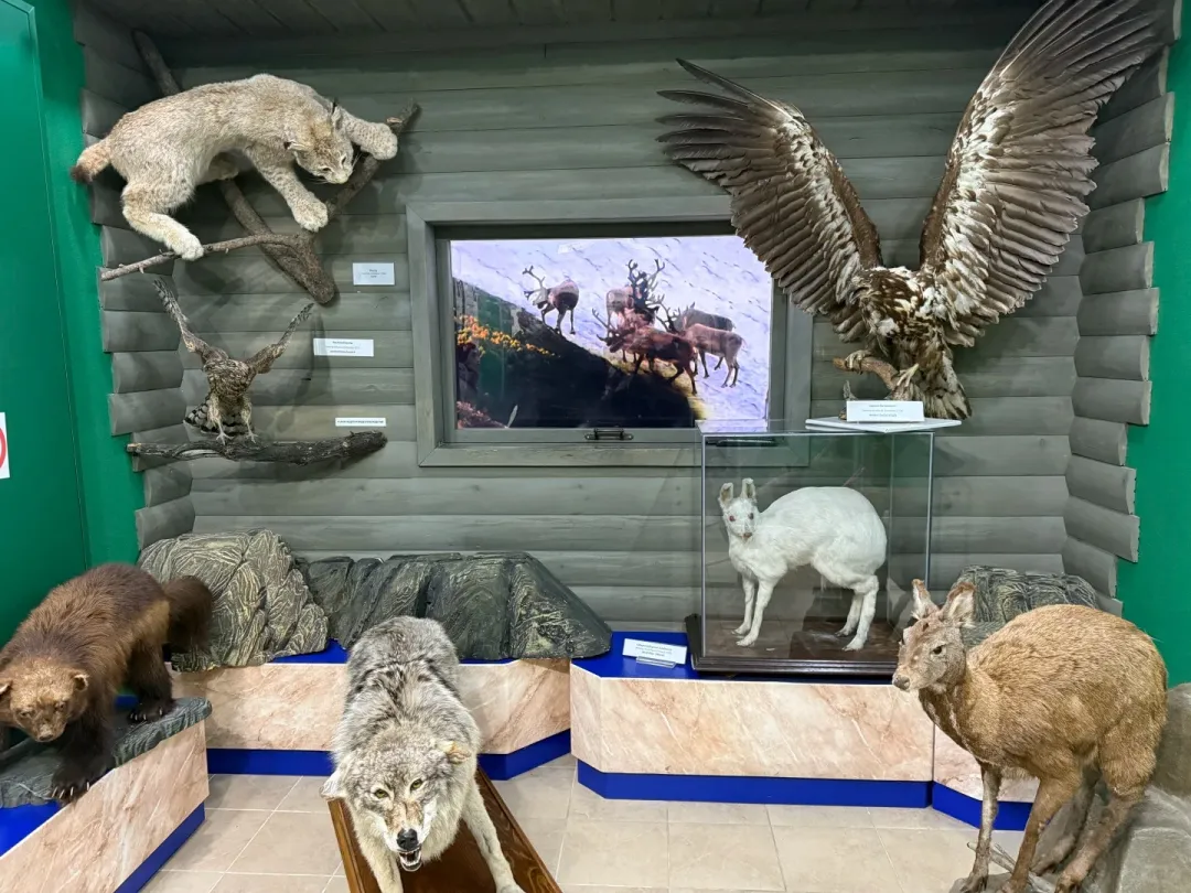 861df26c8b856668e5d36b301f313030-sz_470354