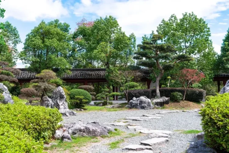 8657ecc05a1d18450338a80ad019c2b6-sz_259599 8657ecc05a1d18450338a80ad019c2b6-sz_259599