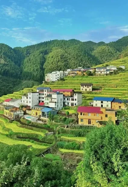 8667fdfc52e9bea33022678905edd28d-sz_744057