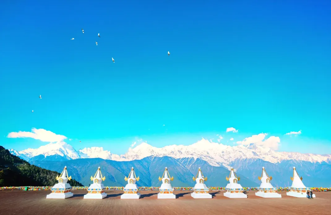 8670c519bfa4362fe45c24375f8303e7-sz_874120