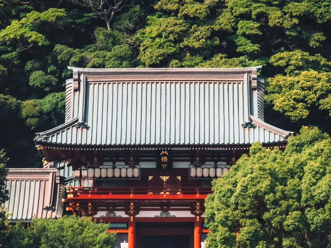 867ce5f39492d4cb10c8192b0273eda4-sz_845614-1