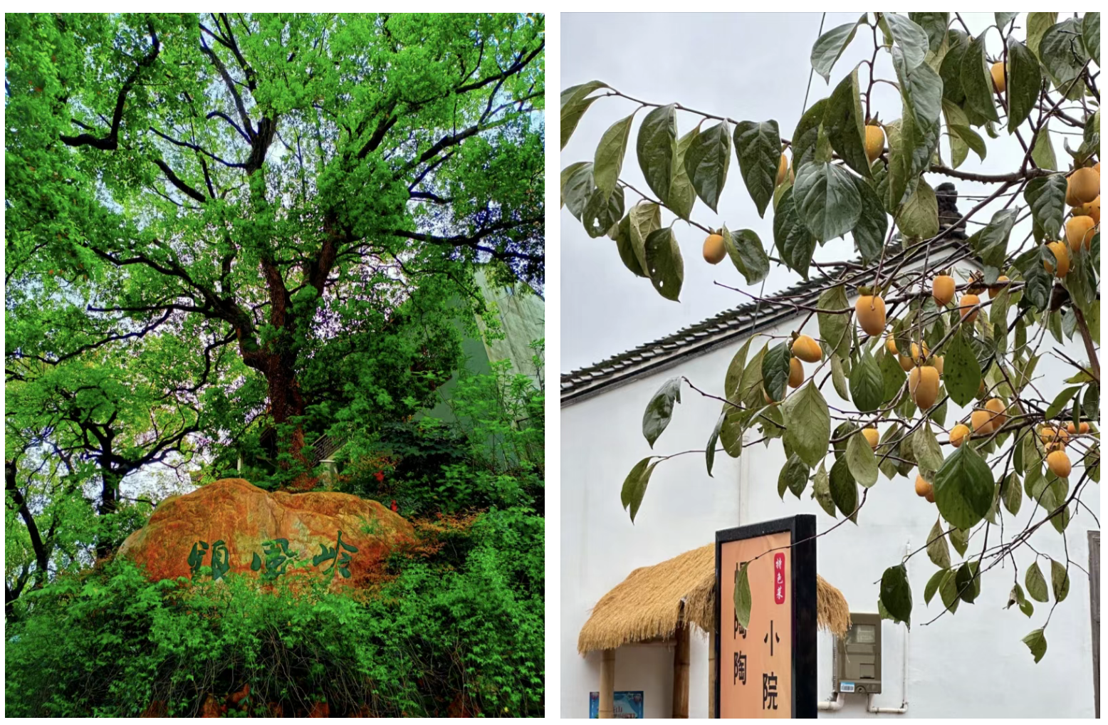 86e3dbf7e0a31e8560c6b78be730c8fb