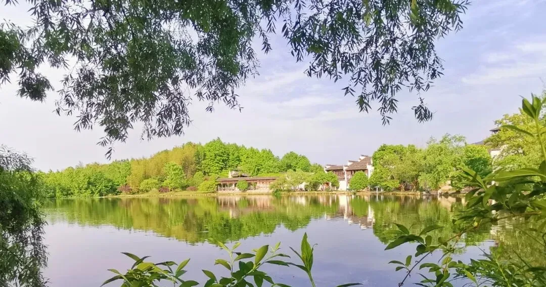 86f8951858ff8be112ed057d1b781ba9-sz_182010