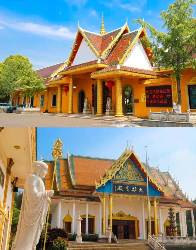 86fca362a6a2a4547079bd6646bcce61-sz_1037736