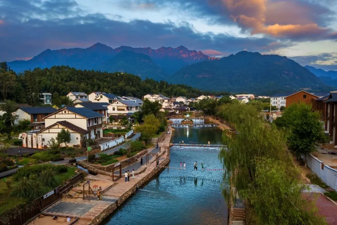 872a9a9e05098656502f86b835102877-sz_2405310