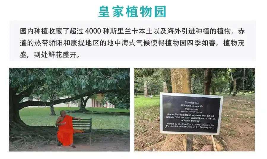 8751b3f7262d962765b24decfd1065a4