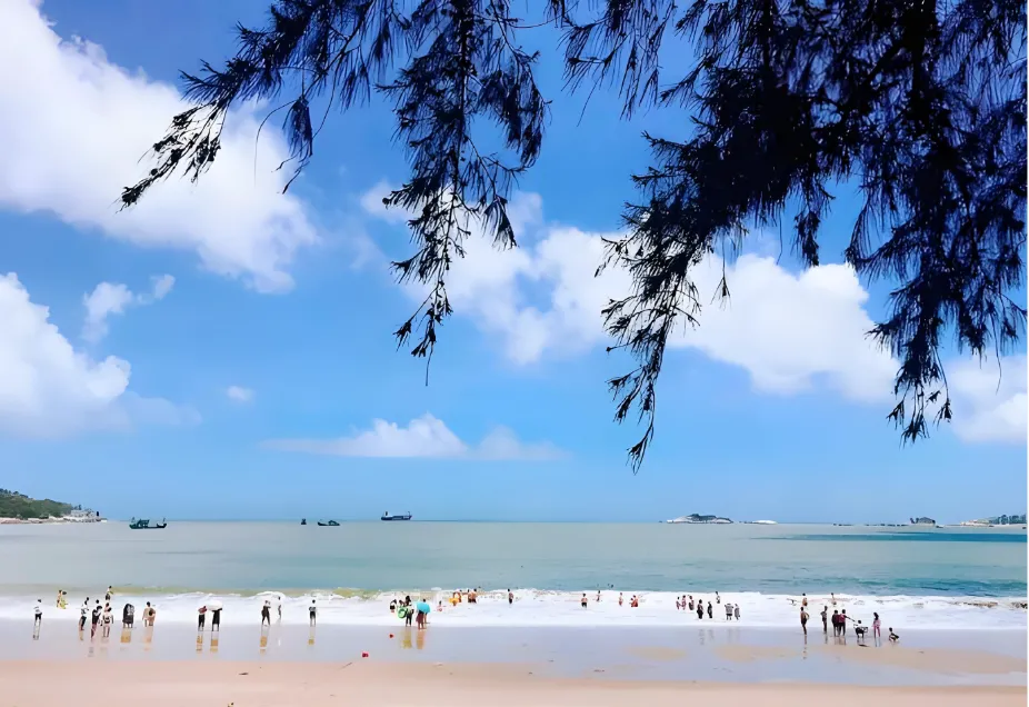 87608f716cba8cab76608d8ce1d63b13-sz_918344-1