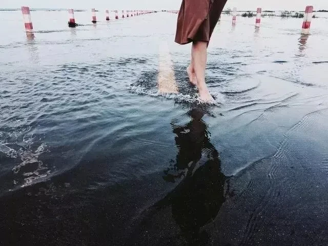 876995f55d0beaef93ea52d193231cd8-sz_63961