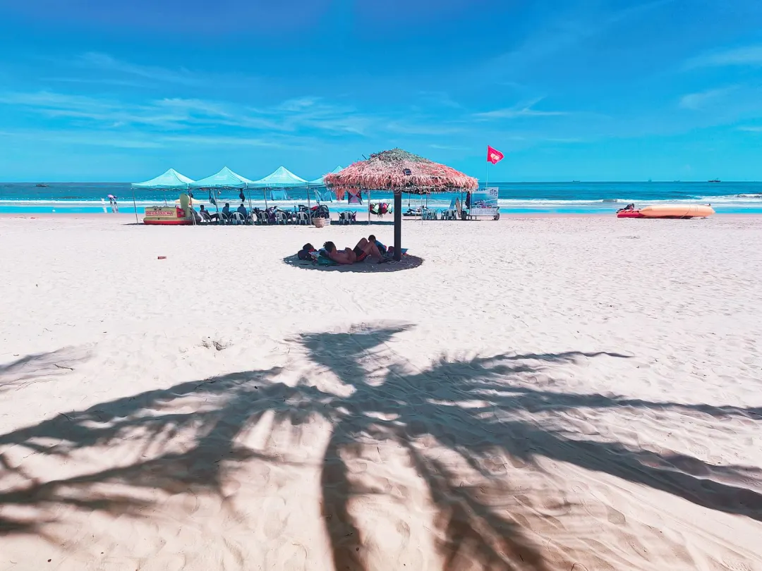 8775b9b2a7c4a000eaec7e4dc09b6e1f-sz_286103