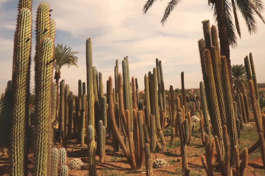 88096282b2437368731ba80b458f2f09-sz_2368165