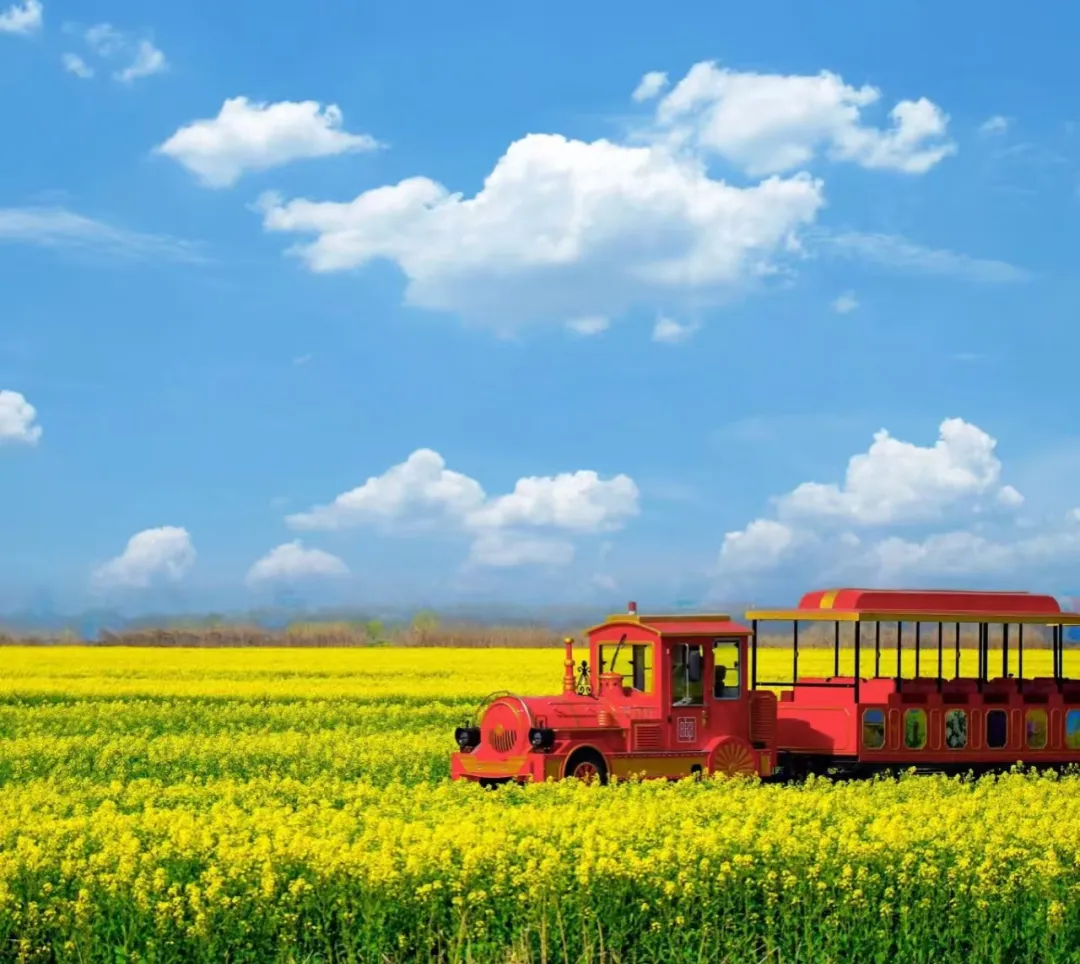 8826bd1bb6fd14b4bf5f7df9d7d853d5-sz_1034096