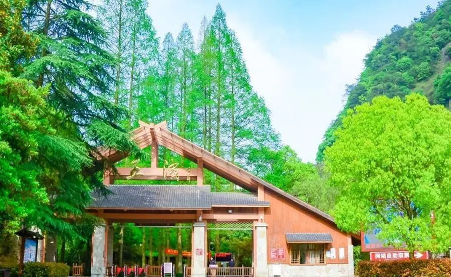 88d2d908bd59871bb7c13f2edd993759-sz_203945