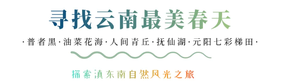 88d732a664eb03ff767e96fe0edaf353-sz_71208-2