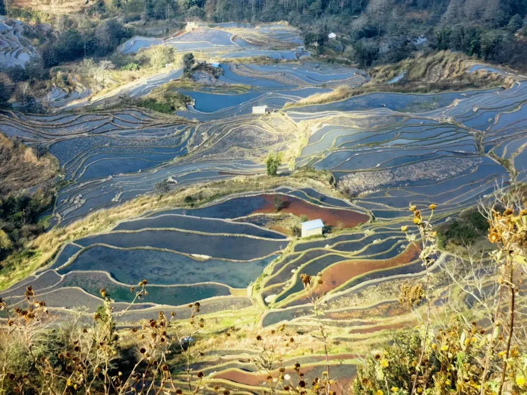 88ecd0e75d9727768f1d9893d33a3b92-sz_4156953