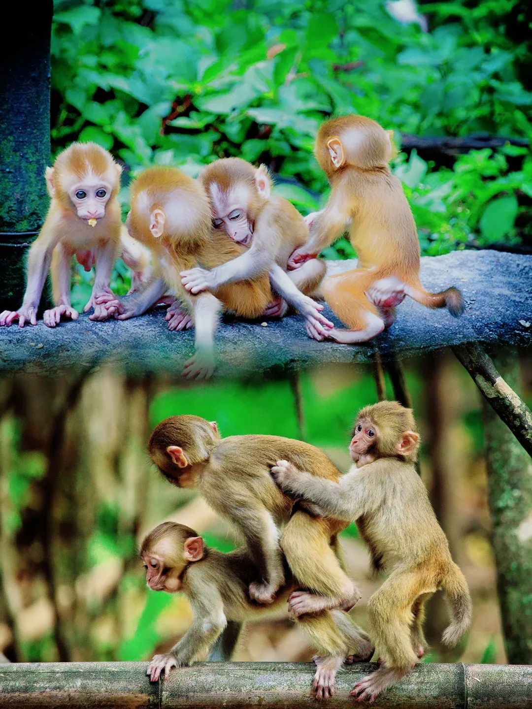 88fbb7ceb0c647d028d50a4a0303845a-sz_2840580