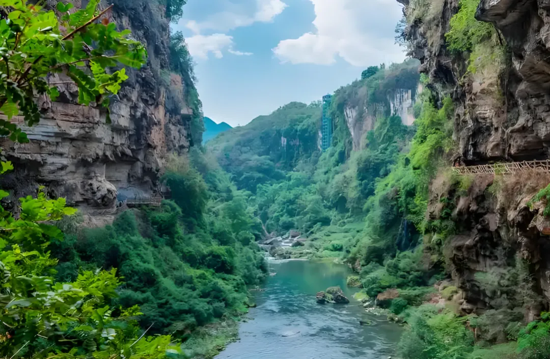 8908d9b50cab117fbd3900f9c0b7df11-sz_2146394