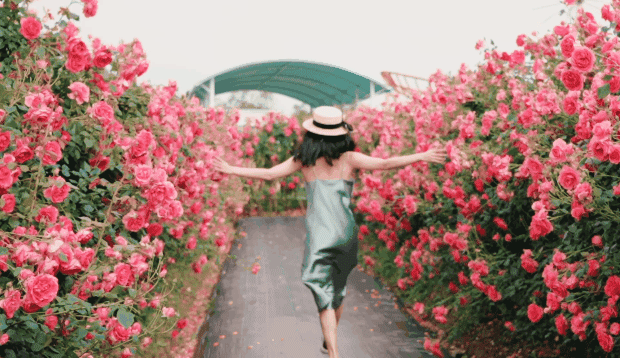 8947030f14ddb0d4403b5dacb24e090b-sz_3503374