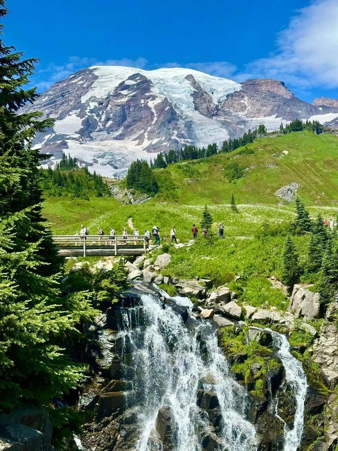 8971b91e88eabbc0c7bab0844f321098-sz_727903-1