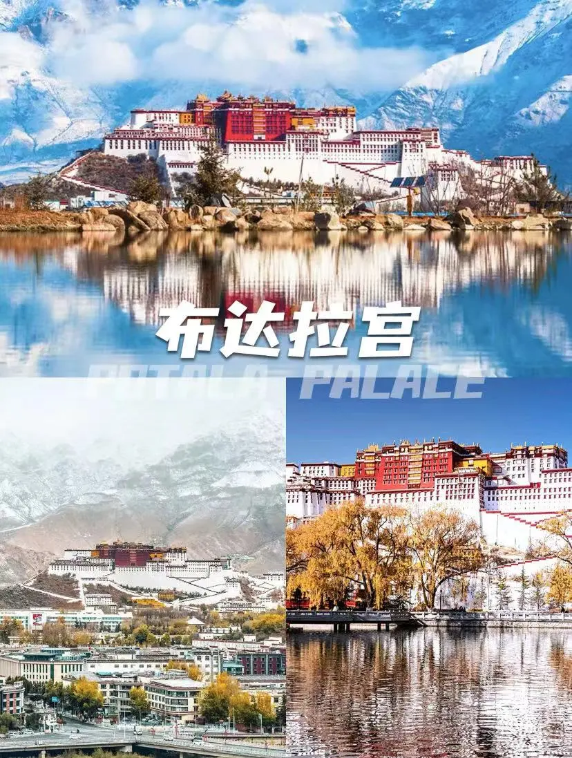 8979c407ea7ce4d9b3c3436e0216fc2d-sz_231277