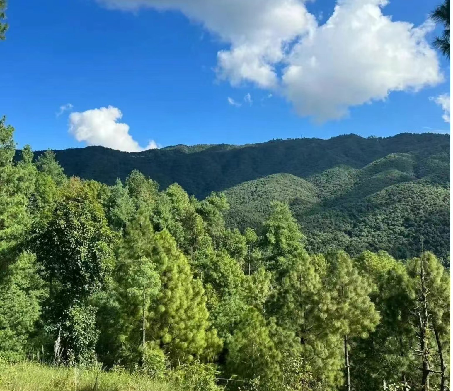 8999c8eee9c6985b8c86cfd2b3873ca8