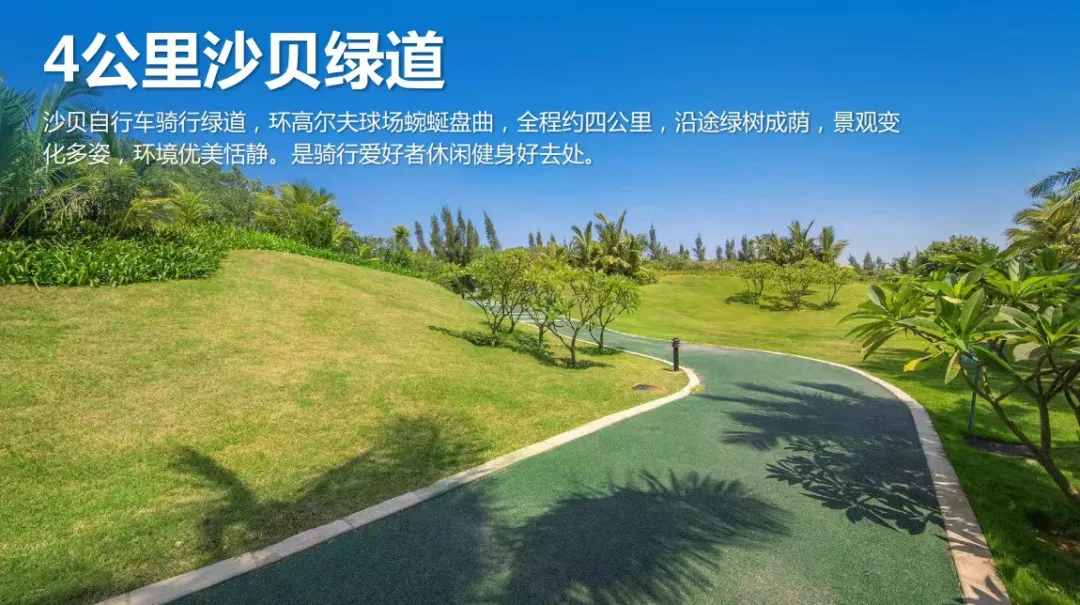 89cf9bfcdbd7c189095f09a5a2912ae8-sz_365498