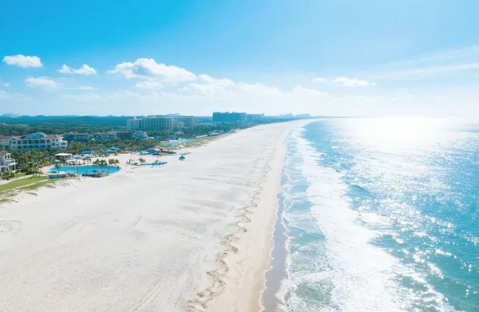 8a15ecd7d8603bd1e68494a33fbab05d-sz_720212