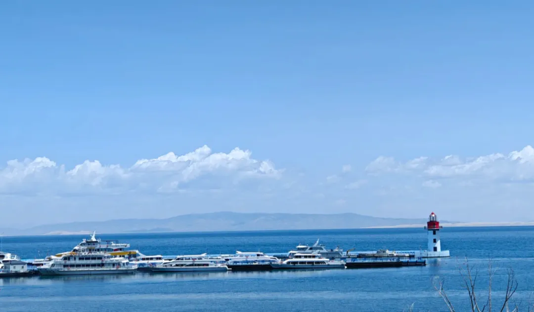 8a5005ee1e9a8e5c2e4e6a2c8ea9f097-sz_789295