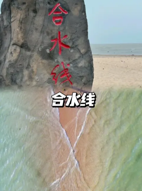 8a5cc96ab0576539295003411f118972-sz_739066