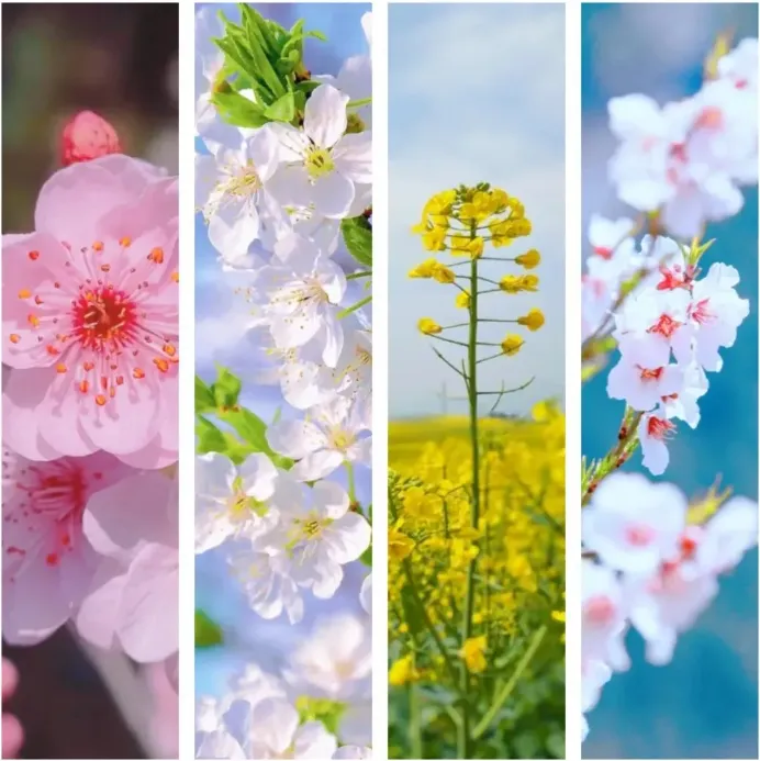 8ac97aafd00918c7d7588a7fc665df7c-sz_641549-2