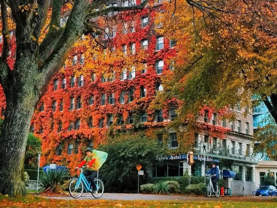 8b2e1cea89dadd5b4772cd306d0e91f9-sz_659375-1