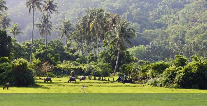 8b52b985999ef0c922571f95b1944a65-sz_460558