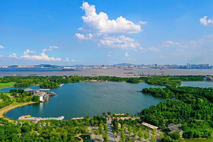 8b8146866113ffd43e2d3d77df4ef9fc-sz_65500