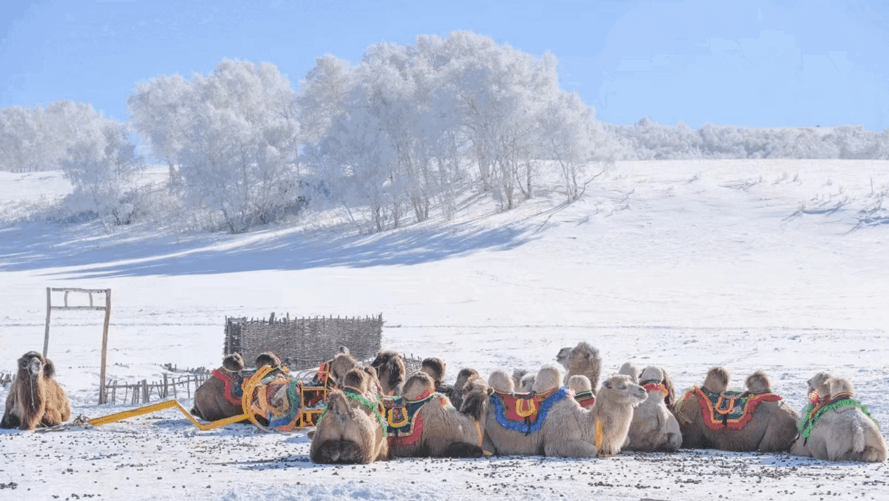 8ba28b736eb182e642bd4af2a0b9e00e-sz_1773042