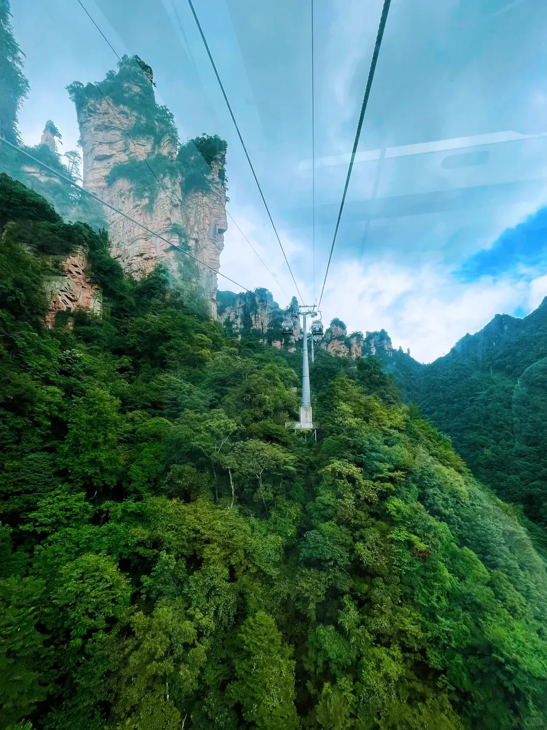 8bb41462bfab0d4a7f7ab4ed3dc19081-sz_3102649