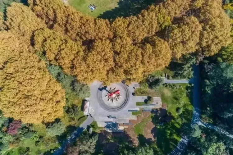 8bdcd68a85c7d15142e242f59f3aebb3-sz_1098943