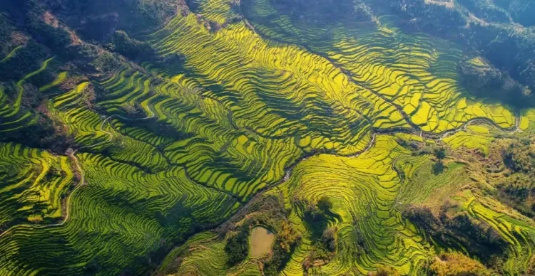 8bef6c694e026a3a6880e54b52d7dec4-sz_1449269