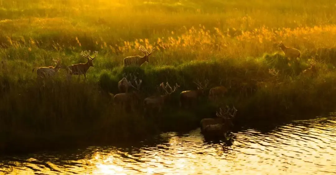 8bf294f2ddd81d540298d45e4dc4cd79-sz_120236