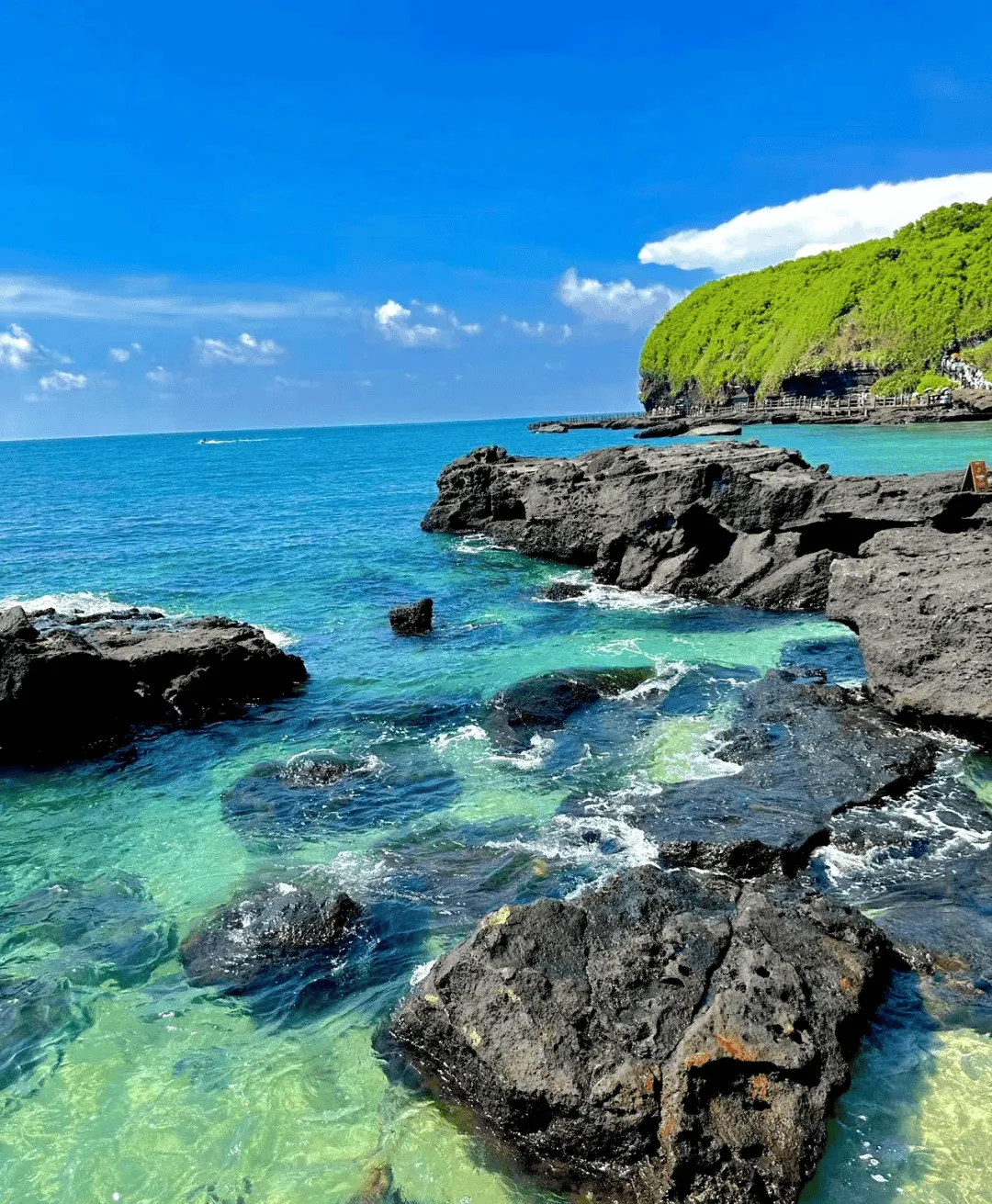 8bf761dc9112ed6ab043d2611e4aa8af-sz_772846