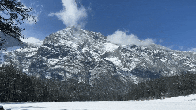 8bfec08ec8358c770d27ea00ed981564-sz_2145991