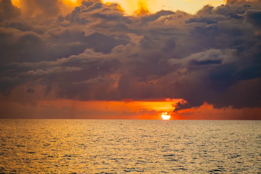 8c38ebe2030acaf12ff94596b8637e81-sz_1784889-1