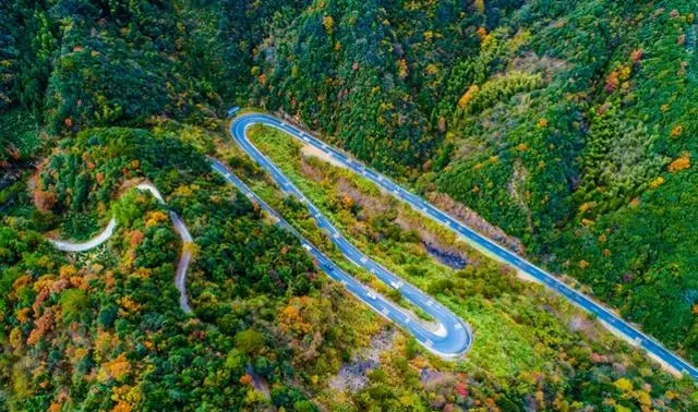 8c562b11237a25a2c2701285f14dab83-sz_85974