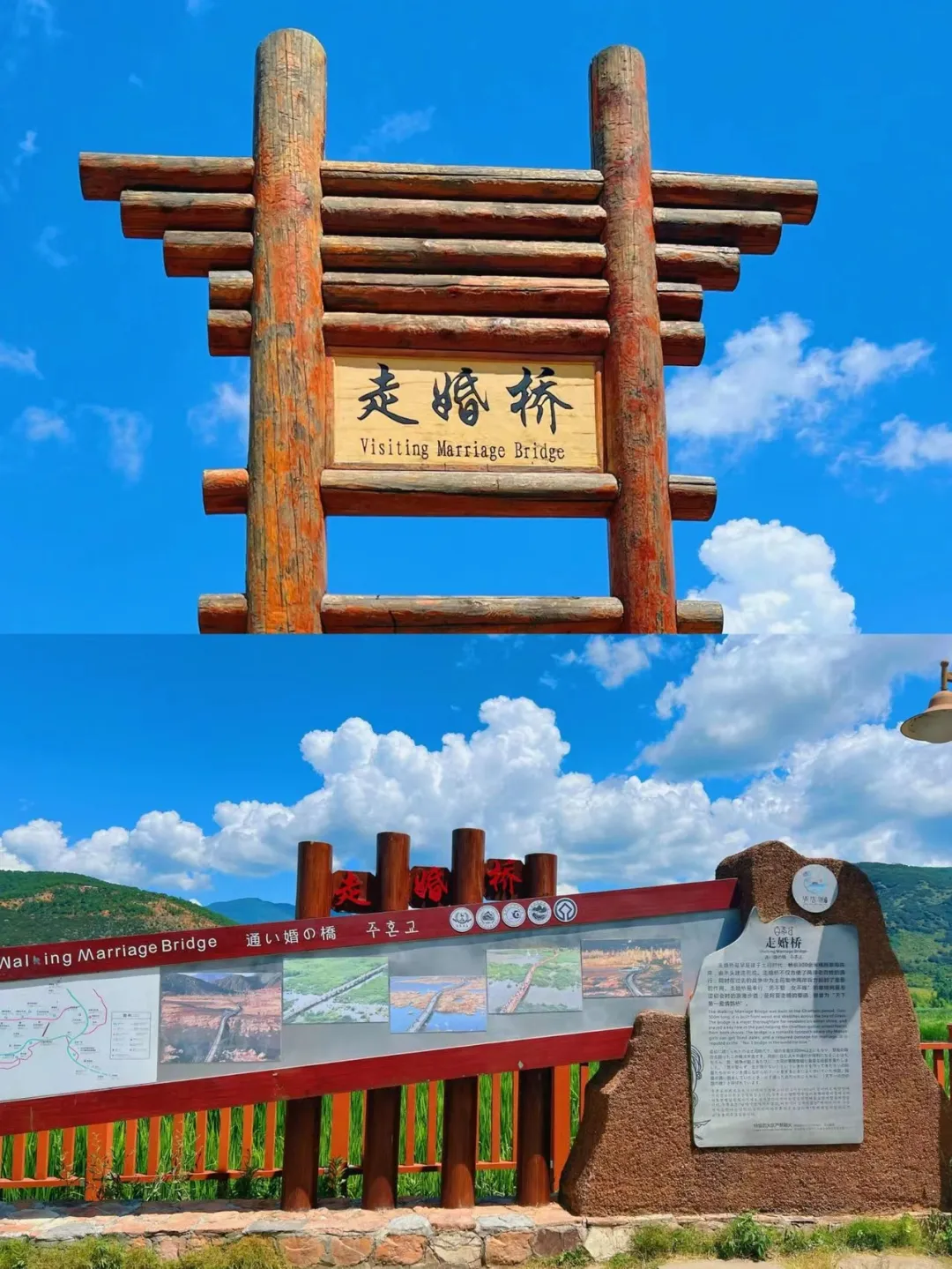 8c6e9f0de78e828b52e58dbf0df28f96-sz_629880